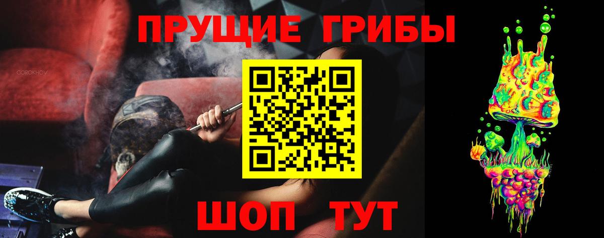 Псилоцибиновые грибы Psilocybine cubensis  Вход с VPN  Красный Сулин 