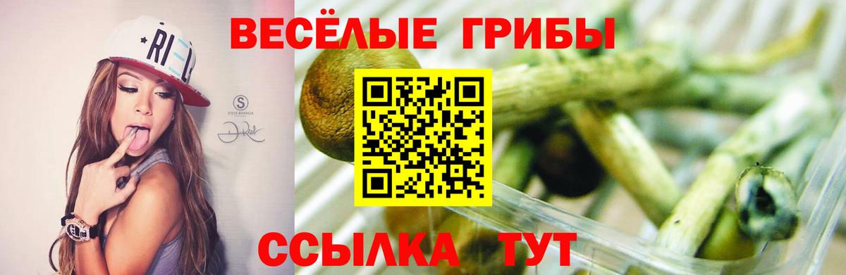 Каннабис Красный Сулин