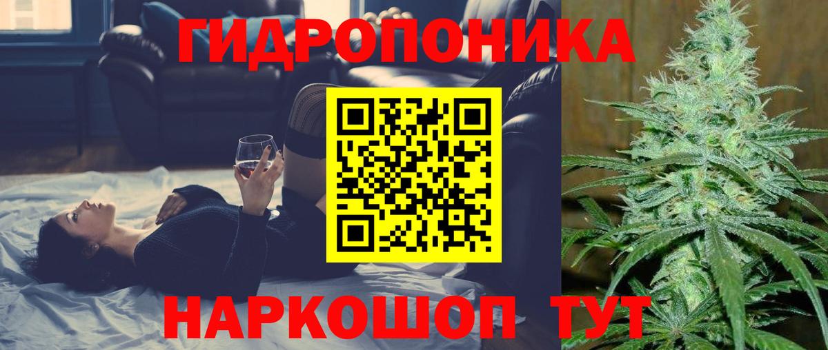 Каннабис гибрид  Канабис OG Kush  Вход с VPN  Канабис VHQ  Шишки марихуана Amnesia  Красный Сулин 